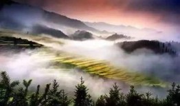 爆料禾丰美景视频在线播放,在线欣赏乡村田园风光